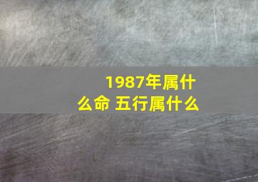 1987年属什么命 五行属什么